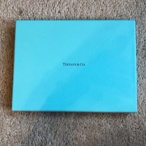 Tiffany & Co Patent Envelope Clutch Tiffany Blue